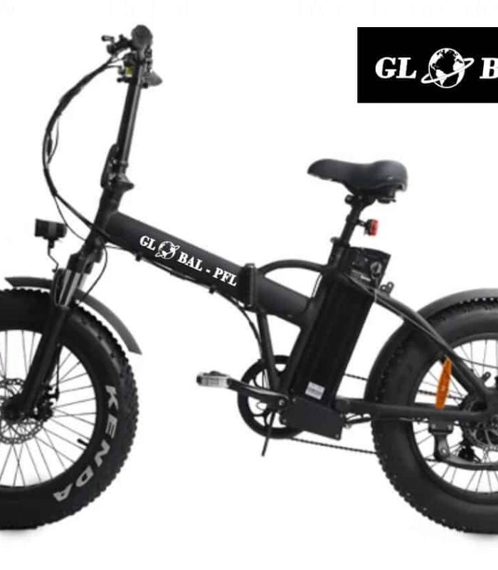 Electric Bike